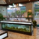 청사안경원 이미지