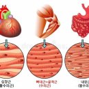 오늘의필라테스 네이버블로그