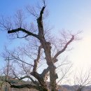 정곡리마을회관 이미지