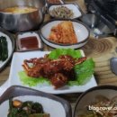 청솔로스 네이버블로그