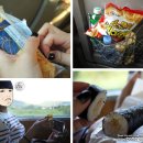 벌교원동 | #1943 포항-순천 무궁화, 겨울엔 순천 찍고 포항에 가자! :: 110827~ 경주 ⑩/10 完