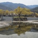 계척시목지 이미지