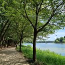 은파호수공원 9-8 이미지