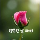 행복한 날 - 동구 | 행복한 날