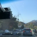 찬진농장 네이버블로그