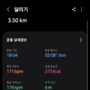 커브스 삼성클럽(264) | #3: 나이키 줌플라이 6 신고 러닝 기록 및 앱 비교 (삼성헬스, 나이키런, 스트라바) 🏃‍♂️👟✨(2025.09.11)