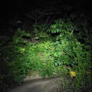 대곡 바다 이미지