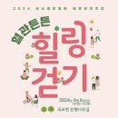 곡교천 은행나무길 이미지