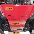 레드인디언