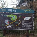 동사동솔밭-좌 | 궷물오름 (2021. 01. 24)