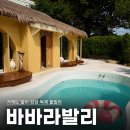 바바라 | 거제도 이국적인 감성 독채 풀빌라 숙소 바바라발리 숙박 후기 (+주차 정보)