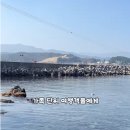 아빠의정육점 | [삼척여행] 장호항 스노클링 명당과 주차 꿀팁, 아빠의 지갑을 지키는 찐 후기 (삼척 가볼만한곳)