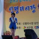 신평리시장 Daum카페