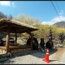 4월5일 제232차 양평 추읍산(주읍산) 봄의 꽃 산수유축제 이미지