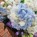 농협경제지주 안성팜랜드 승마센터 이미지