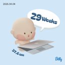 상희네분식 | [임신일기 29-30주차] 하루하루 로또를 실감하는 임신후기..