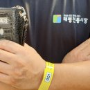 태평정육점