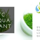 비바리움매니아 이미지