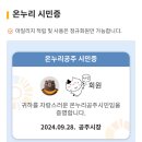 부여백제(공주) | 충청도 가을축제 백제문화제 공주 부여 후기(9.28~10.6)