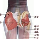 핏플로우 짐 이미지