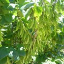 서해1농장 이미지