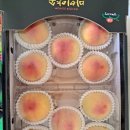 지희농장 이미지