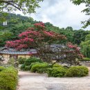 인문학 독서 이미지