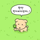 제이의선택