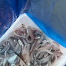 경기도 수원시 권선구 세권로 2 | 수원 수산물시장 삼원유통 창대수산 생새우 전어회 포장 상차림비