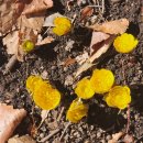 찬물내기 이미지