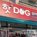 핫 dog 이미지