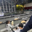 잉어물놀이 | [일상/여행] 다낭 대가족 여행기!!(미카즈키 리조트/일일투어 패키지 후기) 1탄