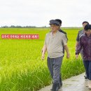 통일농민농장 이미지