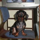 등촌2동016 이미지