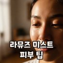구원환경 | 환절기 피부 구원템 라뮤즈 미스트 후기 가격 완벽 정리