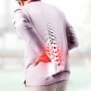 탑조인트의원 이미지