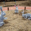 산토끼노래동산 이미지