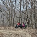 백운면사무소 이미지