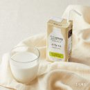 중앙카써비스 | 구로디지털단지 대형 카페 '카페드크래프트' 신상 버터떡 &amp; 감자떡 후기