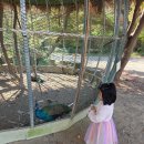 진상어린이집 | 울산 언양 아이와 놀만한 곳 : 포니랜드(승마, 먹이주기 체험 등 후기)