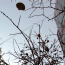 다정한소아청소년과의원 이미지