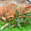 해안종합목재(주)(1종) | 나트랑 맛집 TOP 10 - 가격대별 완벽 정리