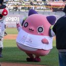 퍼피's 데이 이미지