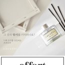 향기365 이미지