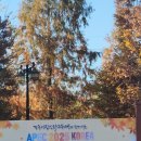 노리광대 정기연주 | 경주 황성공원 가수 은가은 남편 박현호 함께한 타임캡슐광장공연 관람후기 입니다^^