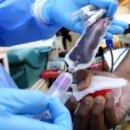 장지동주민센터 이미지