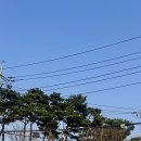 피스코이나즈카(Piscoynazca) 이미지