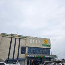 제주점워시존 | 제주 가성비좋은 마트회 조천로컬푸드하나로마트 주차, 수산코너, 주류, 회종류 방문후기