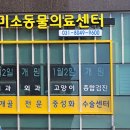 미소동물의료센터 이미지