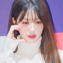 현대타미힐피거